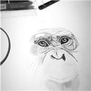 Étudiante en design qui aime partager ses connaissances